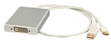 Adapter Mini DisplayPort DVI
