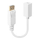 DisplayPort an Mini-DisplayPort