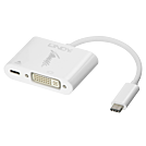 USB C auf DVI-D Adapter