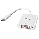 USB C auf DVI-D Adapter