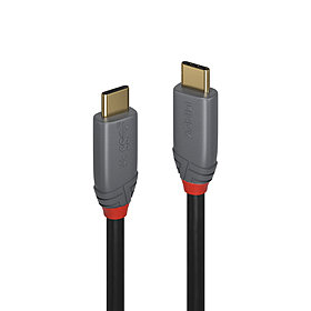 Câble USB C/C