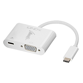 USB 3.1 auf VGA Adapter