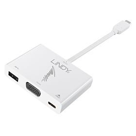 USB 3.1 auf VGA Adapter