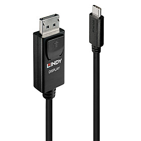 USB C an DisplayPort Adapterkabel